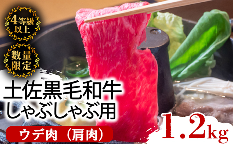 土佐 黒毛 和牛 しゃぶしゃぶ用 1.2kg （ 600g × 2パック ） | 特撰 ウデ肉 肩肉 最上位等級 A4 A5 最高ランク 贅沢 しゃぶしゃぶ　鍋 スライス 焼肉用 小分け 冷凍 国産 牛肉 1kg 以上 高知県 須崎 TM013