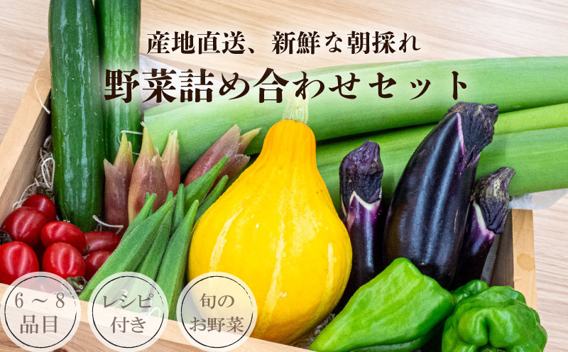 南国高知よりまごころ野菜セット〜野菜でお家ごはん〜(6~8品目)