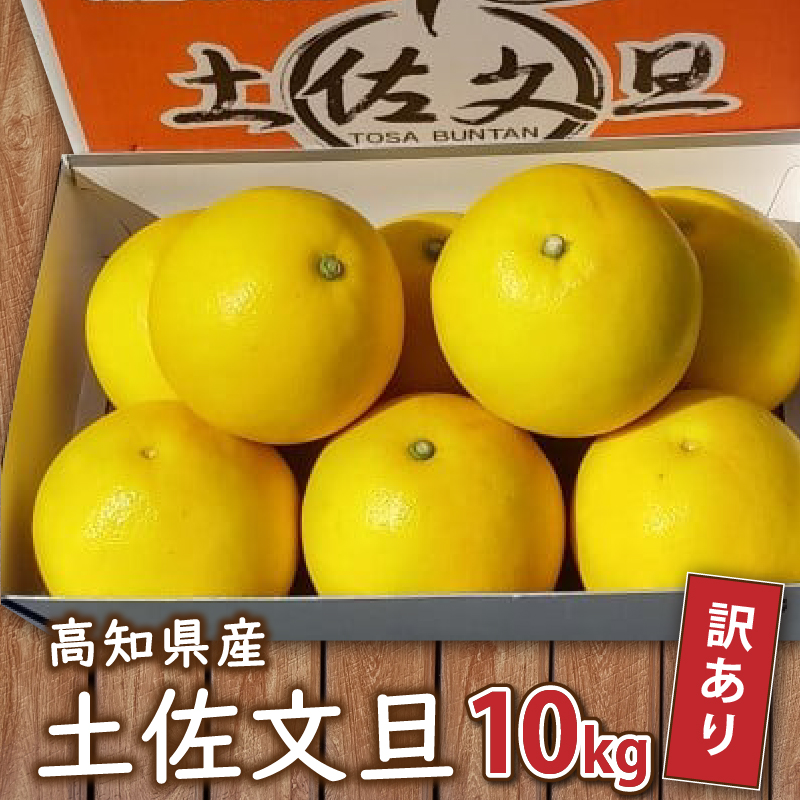 [訳あり]土佐文旦 10kg みかん 蜜柑 柑橘 早期予約