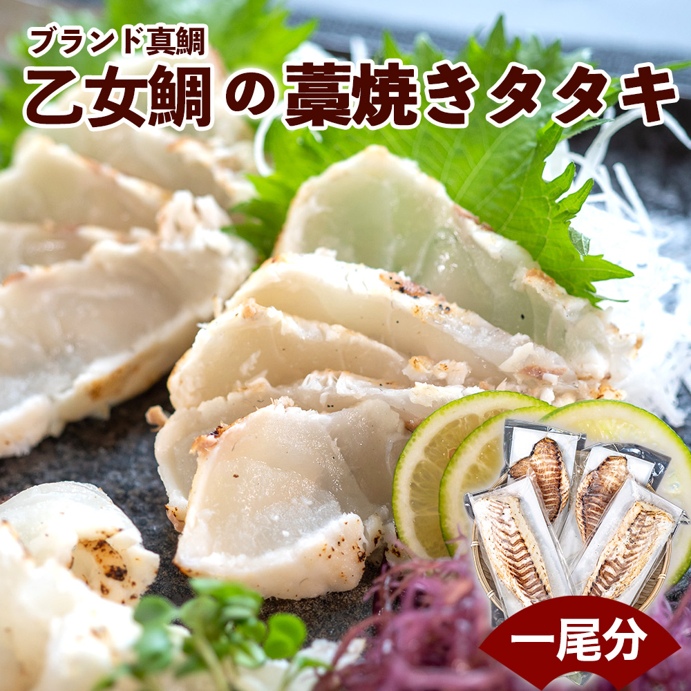 ブランド真鯛「乙女鯛」の藁焼きタタキ(1尾分)   KS038