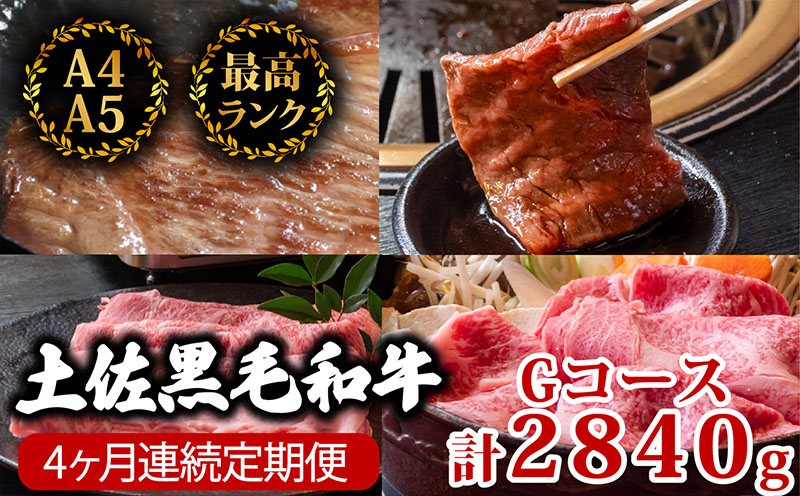 【4回定期便】土佐黒毛和牛 食べ比べ 2840g (計2.8kg以上) | Gコース 厳選 国産 和牛 すき焼き しゃぶしゃぶ ステーキ 焼き肉 お肉 にく 霜降り 牛肉 ウデ肉 うで肉 モモ肉 もも肉 サーロイン 人気 贈答 ギフト プレゼント 小分け 数量限定 4ヵ月 頒布会 老舗 たけうちミート 高知県 須崎市 TM9000