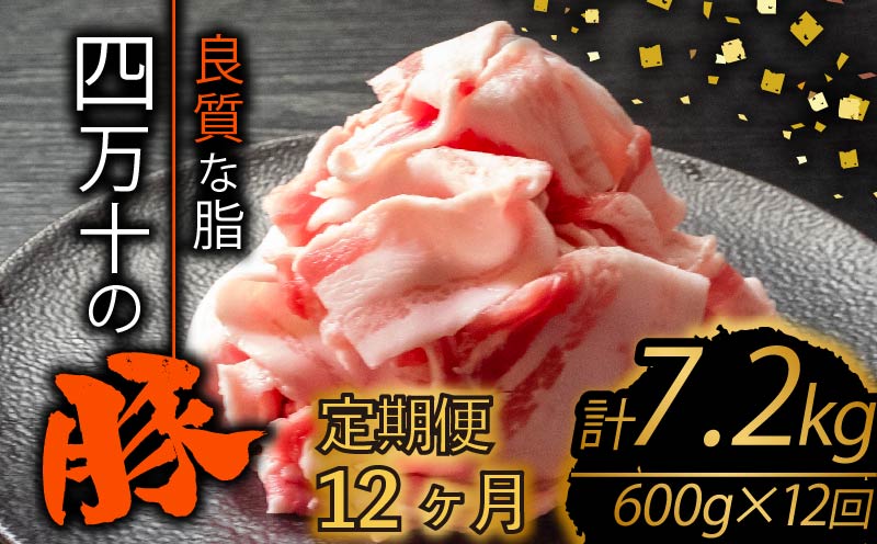 [定期便12回]四万十ポークスライス 計7.2kg(600g×12ヶ月連続お届け) 2Aコース | 豚肉 豚バラ肉 小分け 小間切れ スライス 切り落とし 冷凍 真空パック 簡単調理 細切れ 大容量 肉 高知県 須崎市