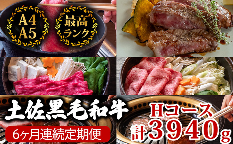 【6回定期便】土佐黒毛和牛 食べ比べ 3940g (計3.9kg以上) | Hコース 厳選 国産 和牛 すき焼き しゃぶしゃぶ ステーキ 焼き肉 お肉 にく 霜降り 牛肉 ウデ肉 うで肉 モモ肉 もも肉 サーロイン リブロース 人気 贈答 ギフト プレゼント 小分け 数量限定 6ヵ月 頒布会 老舗 たけうちミート 高知県 須崎市 TM10000