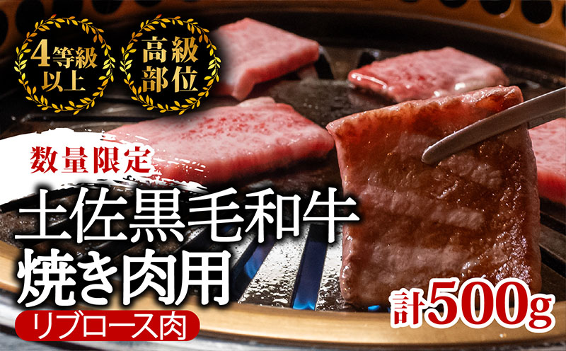 土佐 黒毛 和牛 焼肉用 500g | 特撰 リブロース ロース 最上位等級 A4 A5 最高ランク 贅沢 焼き肉 やきにく 小分け 冷凍 国産 ブランド 和牛 牛肉 大人気 ギフト リピート リピーター おすすめ ランキング おいしい 限定 高評価 BBQ バーベキュー キャンプ アウトドア 高知県 須崎 TM009