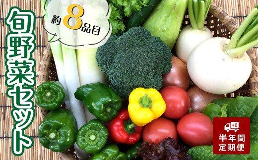 あわ地区【6か月定期便】　旬な野菜の詰め合わせセット（7~8品程度）毎月お届け（半年間）
