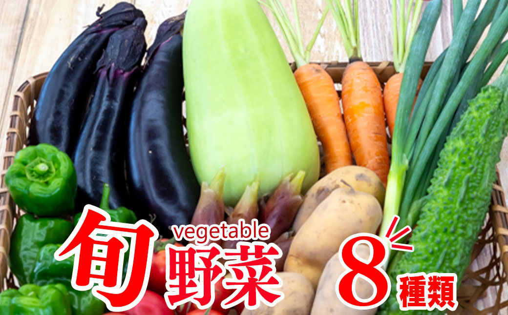 野菜 8 品目 | お楽しみ やさい セット 旬 春 夏 秋 冬 採れたて 新鮮 農家 直送 詰め合わせ 国産 季節 フレッシュ きゅうり ピーマン なす トマト 大根 白菜 高知県 須崎市 ME062_x