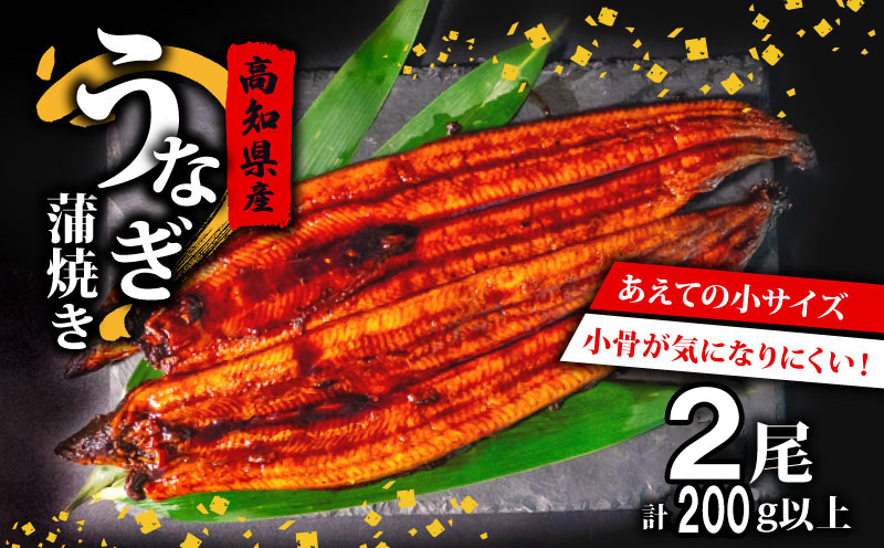 高知県産 養殖 うなぎ 蒲焼 100g～120g × 2尾 セット タレ付き 贈答 養殖 肉厚 鰻 土用丑の日 敬老の日 高知県 須崎市