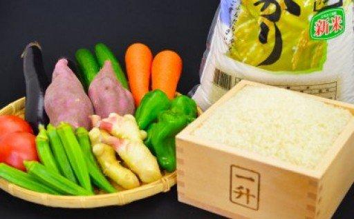 とれたて新鮮!旬の朝採れ野菜と高知県産コシヒカリ3kg