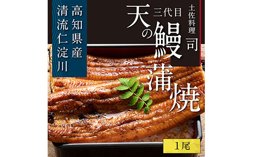 “土佐料理司"三代目天の鰻蒲焼1尾セット/「仁淀川」水系の地下水使用 完全無投薬養殖 国産・高知県産[高知市共通返礼品]うなぎ 真空パック (ウナギ・たれセット)