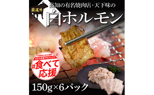 白ホルモン 天下味オリジナル本格塩ダレ漬け（150g×６パック） 高知市