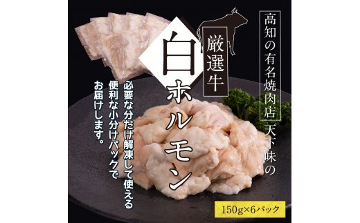 白ホルモン 天下味オリジナル本格塩ダレ漬け（150g×６パック） 高知市