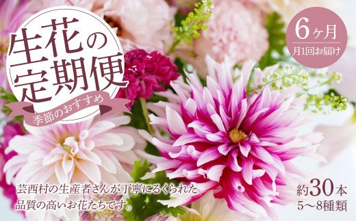 6ヵ月定期便 芸西村産季節の花束 フラワーアレンジメント ブルースター トルコキキョウ ダリヤ 生産者直送 ふるラボ