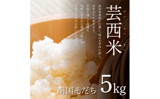 令和4年度高知県産コシヒカリ20kg精米米/穀物