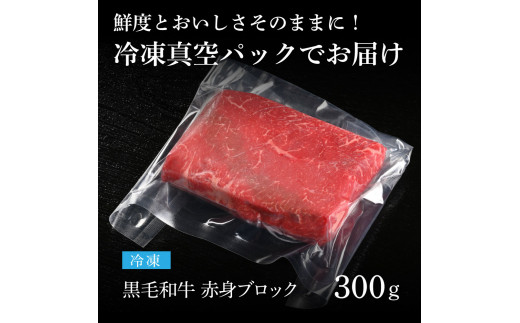 天下味 長期熟成肉 エイジングビーフ 黒毛和牛 ももブロック 300g もも肉 モモ 国産 黒毛和牛 A5ランク 肉 牛肉 ブロック 和牛 赤身 塊肉  人気 老舗焼肉店 冷凍 新鮮 真空パック 贅沢 お祝い 高知 芸西村 返礼品 故郷納税 贈り物 贈答 ギフト 10000円｜ふるラボ