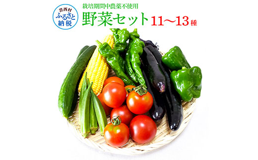 野菜セット（11‐13種類）栽培期間中農薬不使用！ 季節の野菜 旬 無農薬 野菜 やさい 新鮮 自然 健康 セット 詰め合わせ 冷蔵 美味しい おいしい 食べ物 食材 秋 旬の味覚 ご当地 お取り寄せ 芸西村 12000円 故郷納税 ふるさとのうぜい 返礼品 高知県産 高知