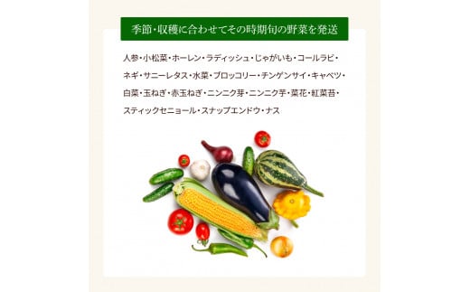 野菜セット（7‐9種類）栽培期間中農薬不使用！ 季節の野菜 旬 無農薬 野菜 やさい 新鮮 自然 健康 セット 詰め合わせ 冷蔵 美味しい おいしい  食べ物 食材 秋 旬の味覚 ご当地 お取り寄せ 芸西村 6000円 故郷納税 ふるさとのうぜい 返礼品 高知県産 高知｜ふるラボ