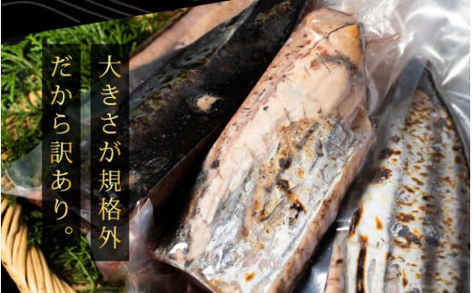 隔月（2ヶ月に1回）3ヶ月定期便》訳あり 海鮮「カツオたたき1.5Kg