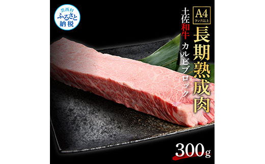 天下味 エイジング工法 熟成肉 土佐和牛 特選カルビブロック 300g