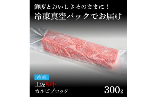 天下味 エイジング工法 熟成肉 土佐和牛 特選カルビブロック 300g