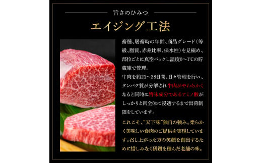 天下味 エイジング工法 熟成肉 土佐和牛 特選赤身 牛 サイコロステーキ