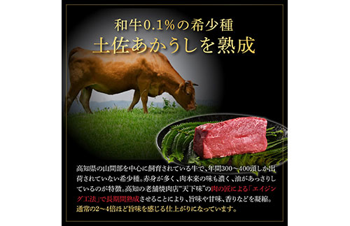 天下味 エイジング工法 熟成肉 土佐あかうし 特選ヒレ 牛 サイコロ