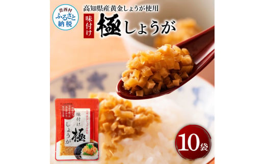 味付け極しょうが110g×10袋 - しょうが ショウガ 生姜 生ふりかけ 坂田