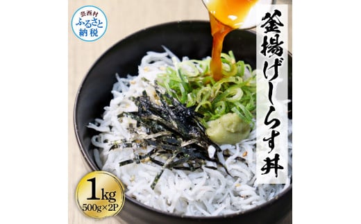 高知県産釜揚げしらす500g×2パック 1kg 1キロ 簡易梱包 シラス 小分け 国産 釜揚げ しらす丼 海鮮丼 お茶漬け ごはん 軍艦巻き 手巻き寿司 ご飯 雑炊 冷奴 冷凍配送 おかず おつまみ