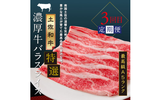 土佐味堪能4ヶ月定期便（1回目「訳ありカツオのたたき」約1.5kg／2回目