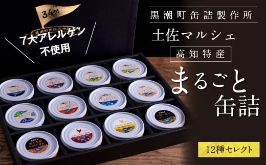 ホテルおすすめ！黒潮町の缶詰セット［12種セレクト］