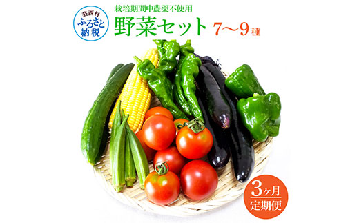 野菜セット（7‐9種類） 《3カ月定期便》 栽培期間中農薬不使用！ 季節の野菜 定期コース 定期 無農薬 野菜 やさい 新鮮 自然 健康 セット 詰め合わせ 冷蔵 美味しい おいしい 食べ物 食材 秋 旬の味覚 ご当地 お取り寄せ 芸西村 18000円 故郷納税 返礼品