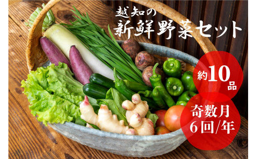 越知産市の季節の野菜セット(年6回発送) 奇数月