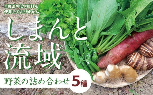 [栽培期間中、農薬・化学肥料不使用]しまんと流域野菜つめあわせ(5種類)Fkh-A07