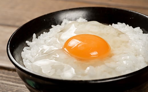 ベジタリアンなニワトリの極上卵と、四万十町産仁井田米の卵かけご飯セット(卵6個×3P、お米2合×9P)[お届け日指定可能]