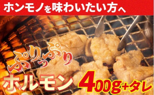 Amu-01　大人気焼肉屋さんのご家庭で簡単！ホルモン焼きセット