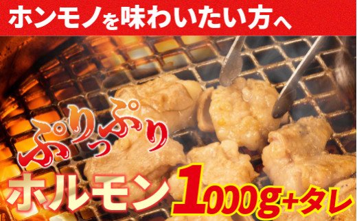 Amu-03　大人気焼肉屋さんのご家庭で簡単！モツ焼き肉セット1000g