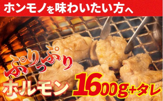 Amu-04　大人気焼肉屋さんのご家庭で簡単！モツ焼き肉セット1600g