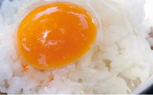 Gbn-01 ベジタリアンなニワトリの極上！卵かけご飯セット(卵×3、米×3、醤油×2、塩×2)【お届け日指定可能】