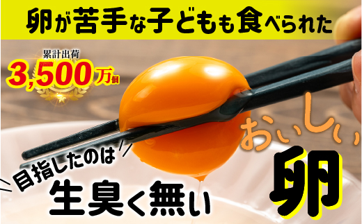 卵が苦手な子どもも食べられた！生臭くないおいしい卵 6個入×5P　Gbn-A03 