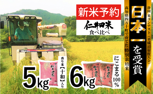 ◎令和6年産新米◎四万十育ちの美味しいお米。高知のにこまる6kg、にこまる（香り米入り）5kg 【計11kg】／Bmu-A22