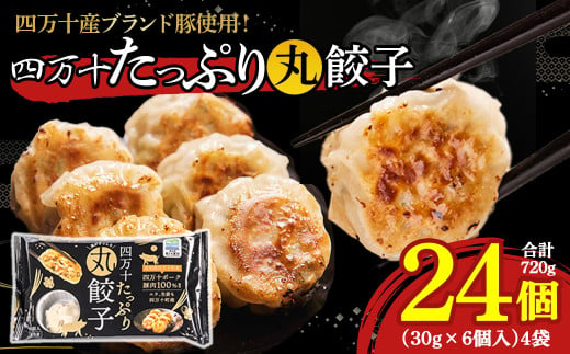 四万十産ブランド豚使用！四万十たっぷり丸餃子 4袋（30g×6個入)合計720g ／Qak-43