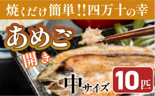 焼くだけ簡単！無投薬で四万十育ちのあめごの開き 中サイズ10匹  ／Eay-07