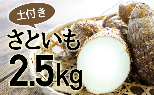 四万十町産「土付きさといも」2.5kg