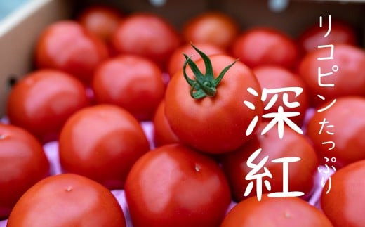 赤さがリコピン満載の証！四万十産トマト「深紅」4kg（1箱24～55玉）／Fbg-006