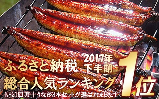 うなぎ 蒲焼き セット 220g (110g×2本) Esu-A92
