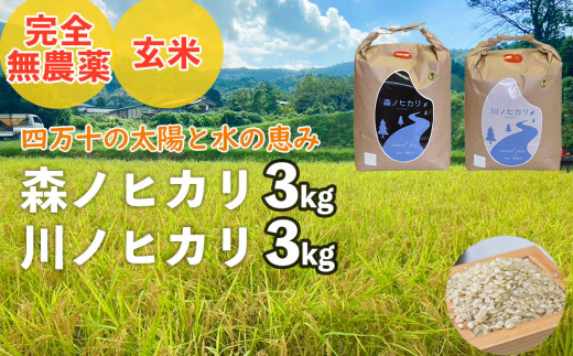 【2024年産・新米】完全無農薬の玄米『森ノヒカリ(3kg)』『川ノヒカリ(3kg)』セット　／Bnm-21