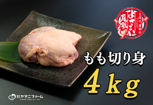 【大月町のブランド鶏】よさこい尾鶏 もも肉（200ｇ）×20パック
