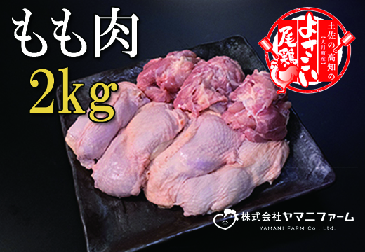 【大月町のブランド鶏】よさこい尾鶏 もも肉2kg