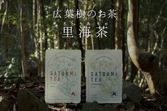 【高知県 大月町産】広葉樹のお茶“里海茶”