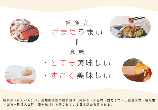 定期便】ざまにうまい！大月町の特産品 計6回｜ふるラボ