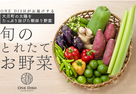 【高知県大月町産】旬のとれたてお野菜セット